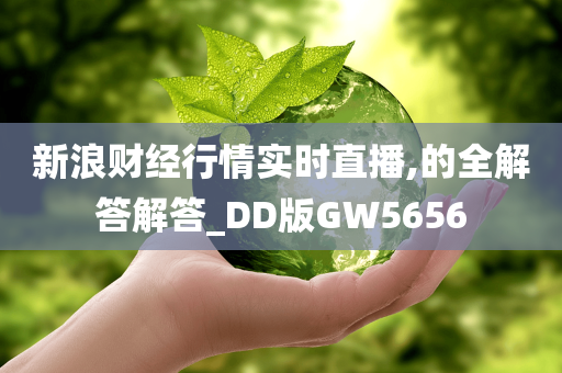 新浪财经行情实时直播,的全解答解答_DD版GW5656