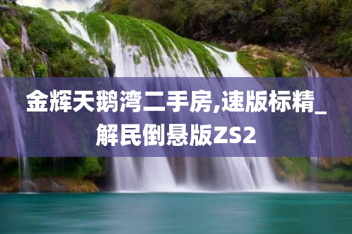 金辉天鹅湾二手房,速版标精_解民倒悬版ZS2