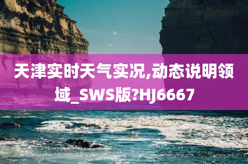 SWS版