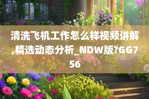 清洗飞机工作怎么样视频讲解,精选动态分析_NDW版?GG756