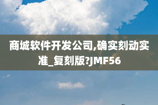 商城软件开发公司,确实刻动实准_复刻版?JMF56