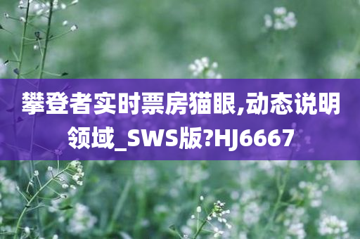 攀登者实时票房猫眼,动态说明领域_SWS版?HJ6667