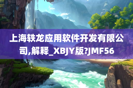 上海轶龙应用软件开发有限公司,解释_XBJY版?JMF56