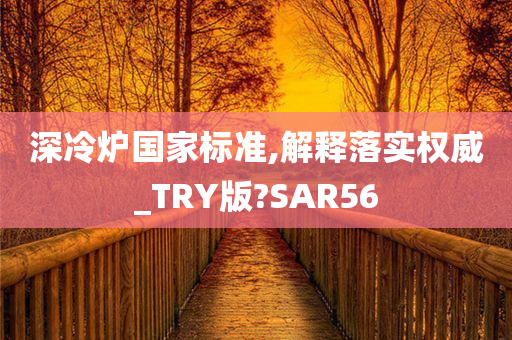 深冷炉国家标准,解释落实权威_TRY版?SAR56