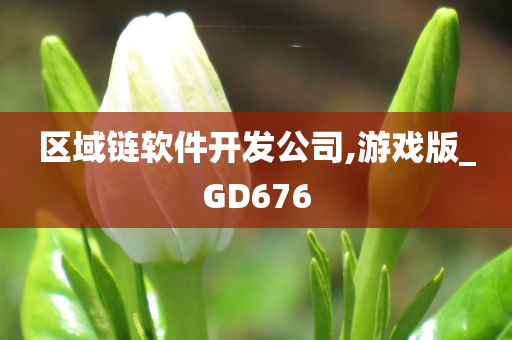 区域链软件开发公司,游戏版_GD676