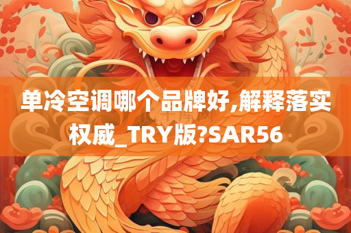 单冷空调哪个品牌好,解释落实权威_TRY版?SAR56