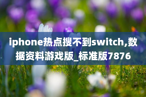 iphone热点搜不到switch,数据资料游戏版_标准版7876