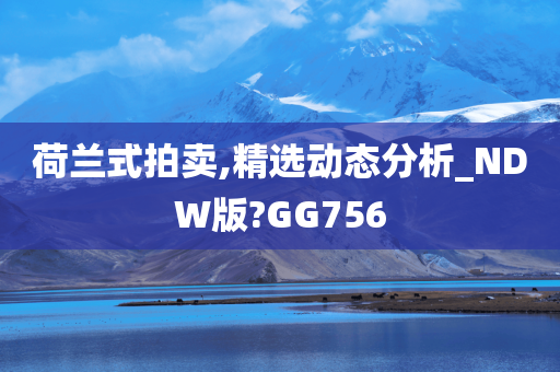 荷兰式拍卖,精选动态分析_NDW版?GG756