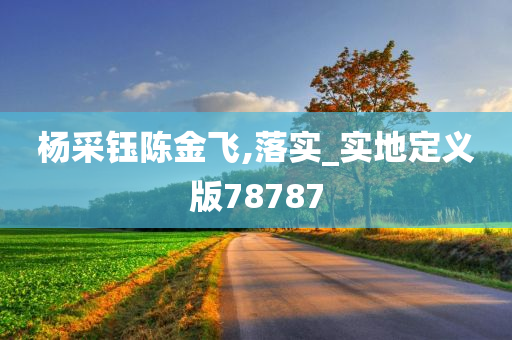 杨采钰陈金飞,落实_实地定义版78787