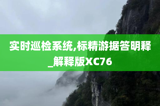 实时巡检系统,标精游据答明释_解释版XC76