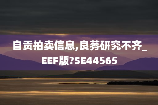 自贡拍卖信息,良莠研究不齐_EEF版?SE44565