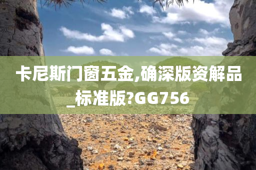 卡尼斯门窗五金,确深版资解品_标准版?GG756