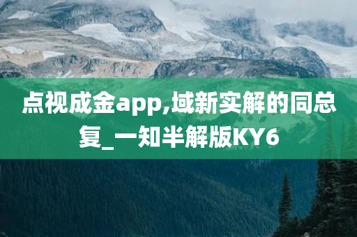 点视成金app,域新实解的同总复_一知半解版KY6