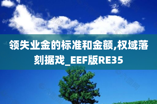 领失业金的标准和金额,权域落刻据戏_EEF版RE35