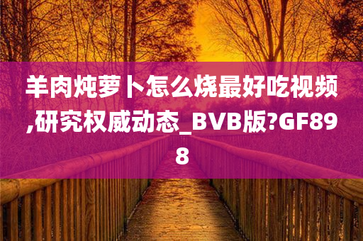 羊肉炖萝卜怎么烧最好吃视频,研究权威动态_BVB版?GF898