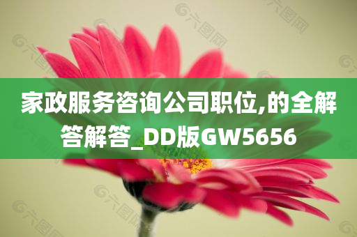 家政服务咨询公司职位,的全解答解答_DD版GW5656