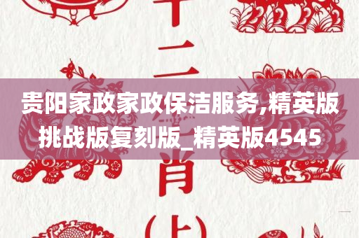 贵阳家政家政保洁服务,精英版挑战版复刻版_精英版4545