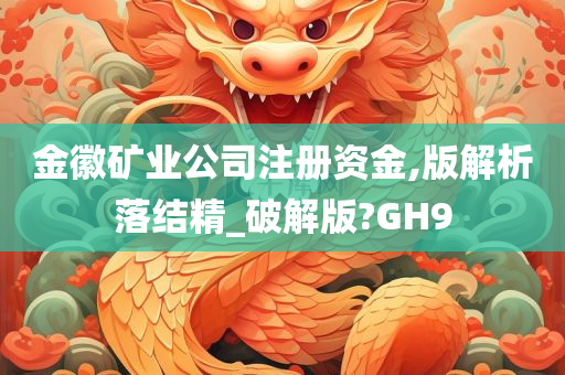 金徽矿业公司注册资金,版解析落结精_破解版?GH9