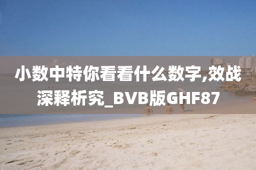 小数中特你看看什么数字,效战深释析究_BVB版GHF87