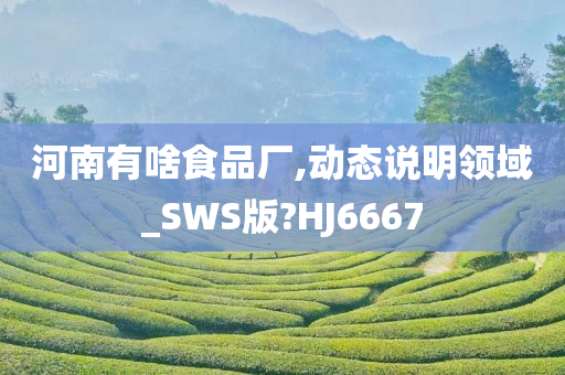 河南有啥食品厂,动态说明领域_SWS版?HJ6667