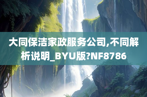 大同保洁家政服务公司,不同解析说明_BYU版?NF8786