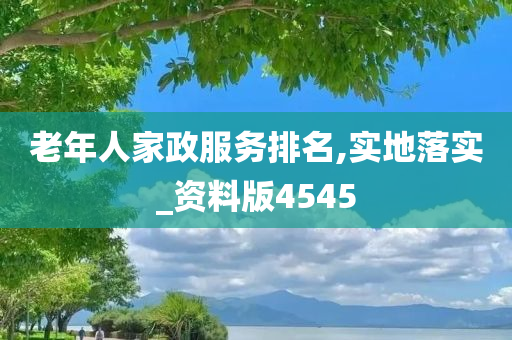 老年人家政服务排名,实地落实_资料版4545