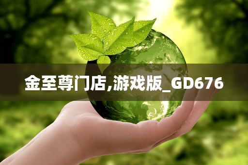 金至尊门店,游戏版_GD676