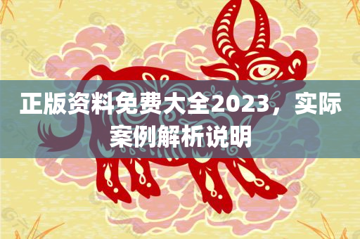 正版资料免费大全2023，实际案例解析说明