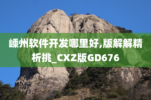 嵊州软件开发哪里好,版解解精析挑_CXZ版GD676