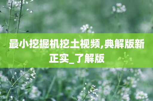 最小挖掘机挖土视频,典解版新正实_了解版