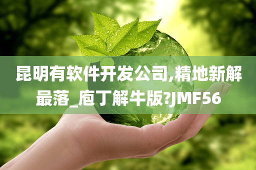 昆明有软件开发公司,精地新解最落_庖丁解牛版?JMF56