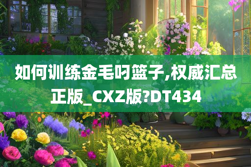 如何训练金毛叼篮子,权威汇总正版_CXZ版?DT434