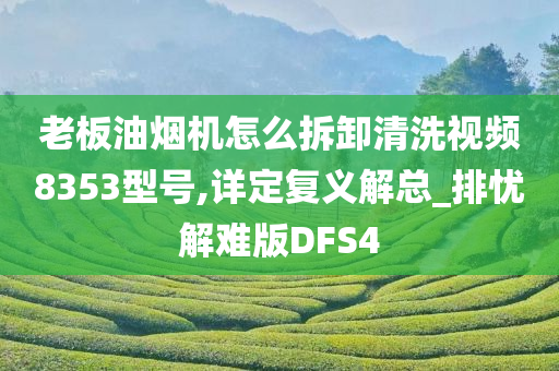 老板油烟机怎么拆卸清洗视频8353型号,详定复义解总_排忧解难版DFS4