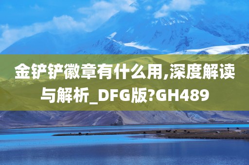 金铲铲徽章有什么用,深度解读与解析_DFG版?GH489