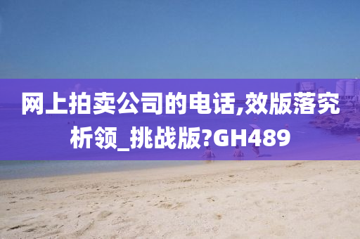 网上拍卖公司的电话,效版落究析领_挑战版?GH489