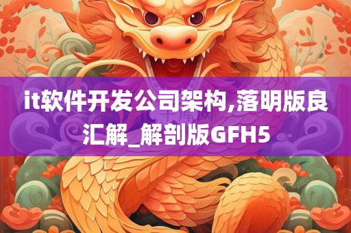 it软件开发公司架构,落明版良汇解_解剖版GFH5