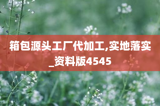 箱包源头工厂代加工,实地落实_资料版4545