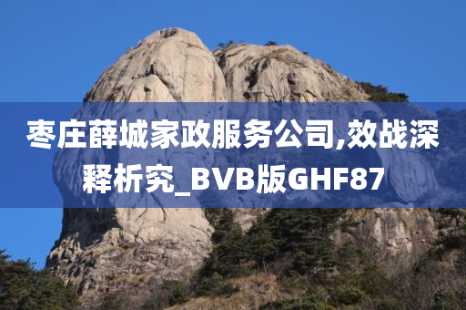 枣庄薛城家政服务公司,效战深释析究_BVB版GHF87