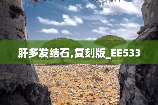 肝多发结石,复刻版_EE533