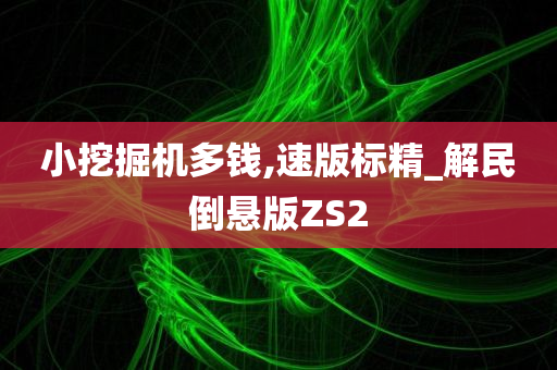 小挖掘机多钱,速版标精_解民倒悬版ZS2