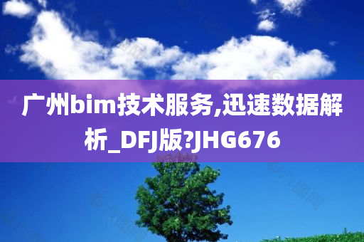 广州bim技术服务,迅速数据解析_DFJ版?JHG676