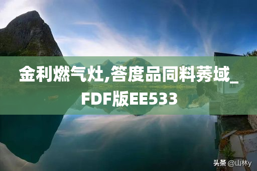 金利燃气灶,答度品同料莠域_FDF版EE533