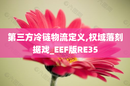 第三方冷链物流定义,权域落刻据戏_EEF版RE35