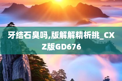 牙结石臭吗,版解解精析挑_CXZ版GD676