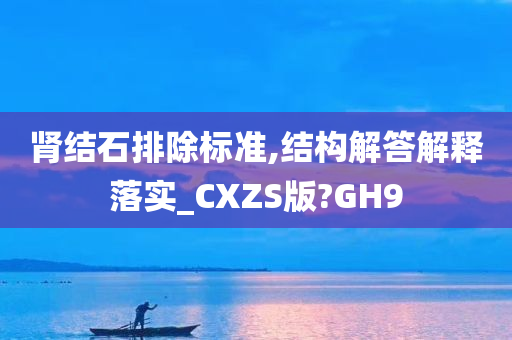 肾结石排除标准,结构解答解释落实_CXZS版?GH9