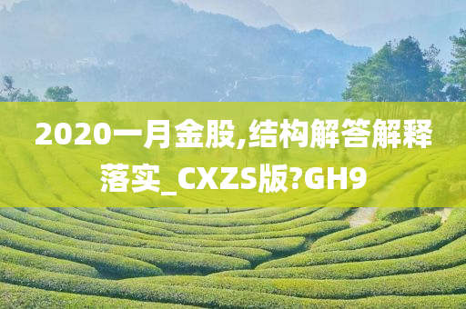 2020一月金股,结构解答解释落实_CXZS版?GH9