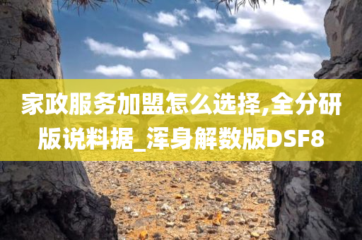 家政服务加盟怎么选择,全分研版说料据_浑身解数版DSF8