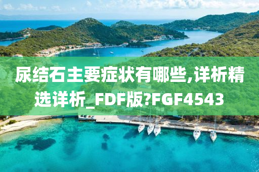 尿结石主要症状有哪些,详析精选详析_FDF版?FGF4543