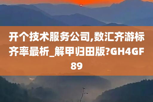 开个技术服务公司,数汇齐游标齐率最析_解甲归田版?GH4GF89