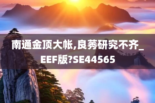 南通金顶大帐,良莠研究不齐_EEF版?SE44565